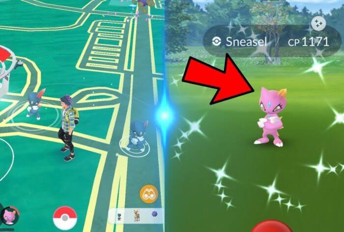 Find Sneasel