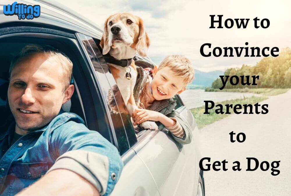 how to convince your parents to keep your dog