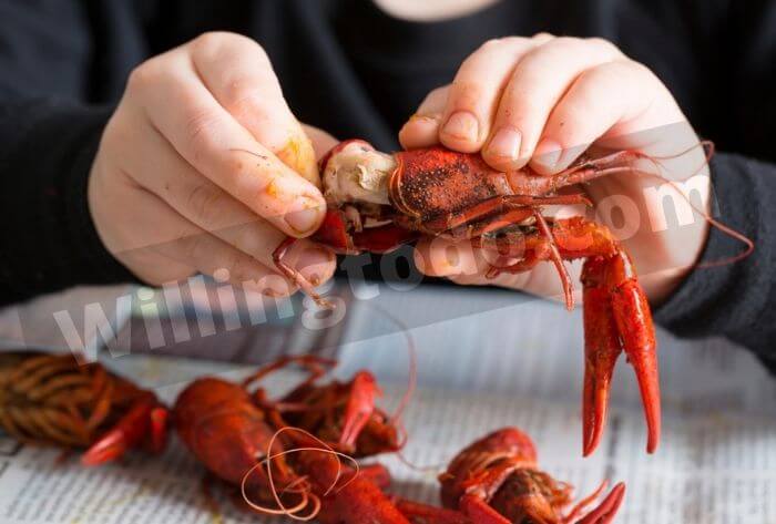 Peel of the head of crawfish