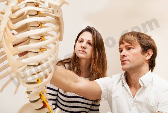 Physical Therapist Education