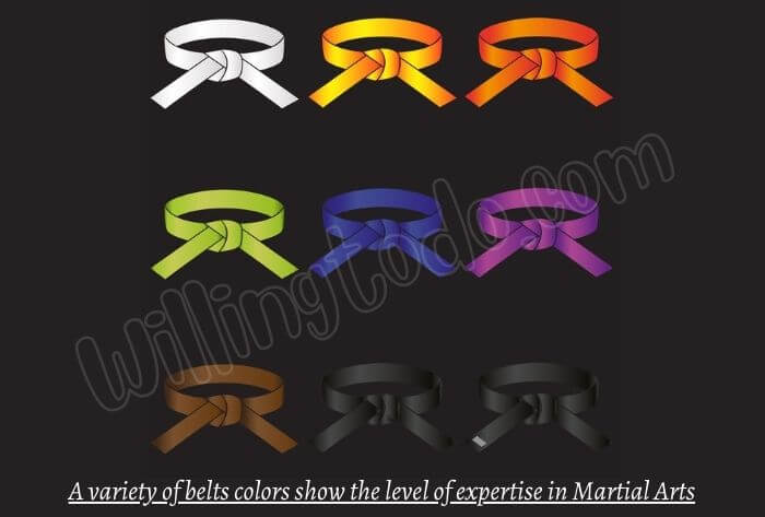 Different colors of a karate belt