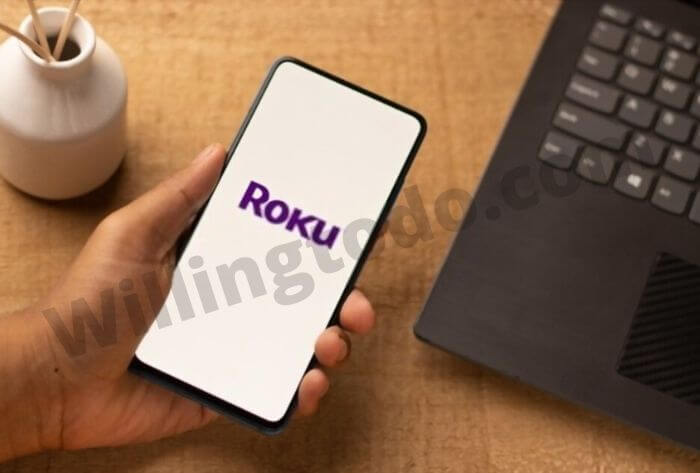 The Roku Mobile App