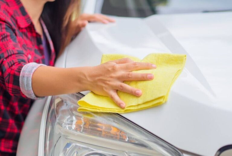 How to get rid of love bugs - Willing To Do