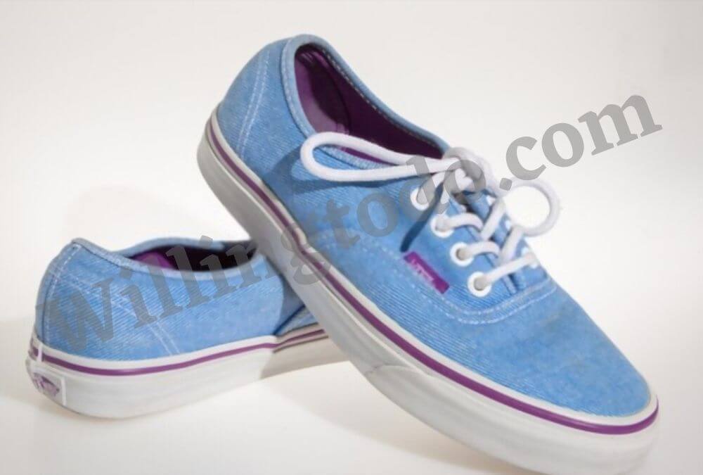 Vans Classic Slip Ons Shoes