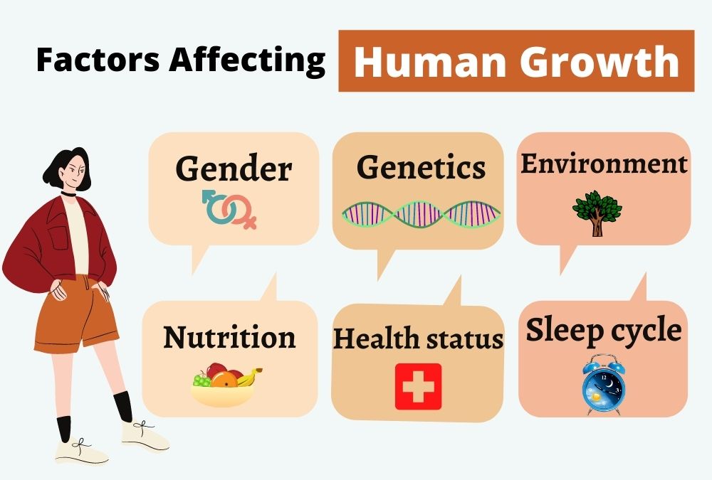 How to get shorter in height: Figure out Factors Affecting growth