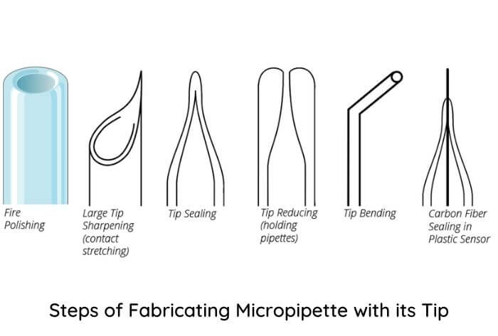 Fabricating Micropipette with its Tip