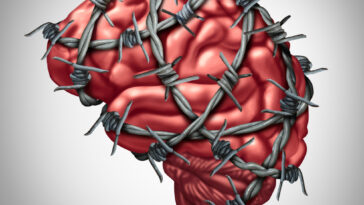 The Process of Rewiring the Brain from Addiction