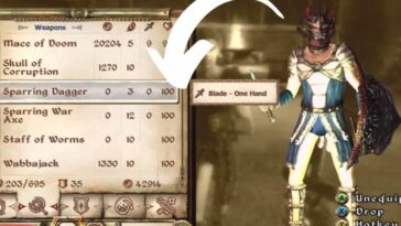 Adventure in Drop Items in Oblivion