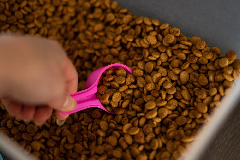 how many grains in a pound